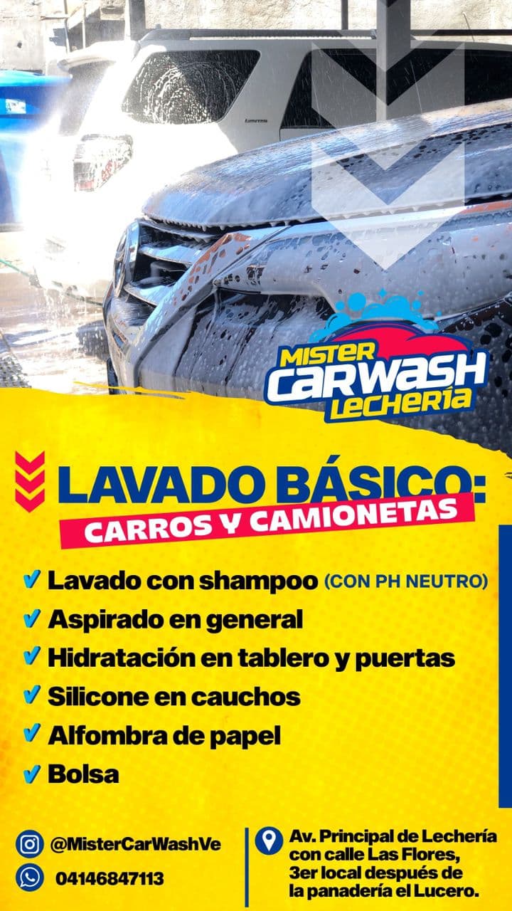 Lavado Básico